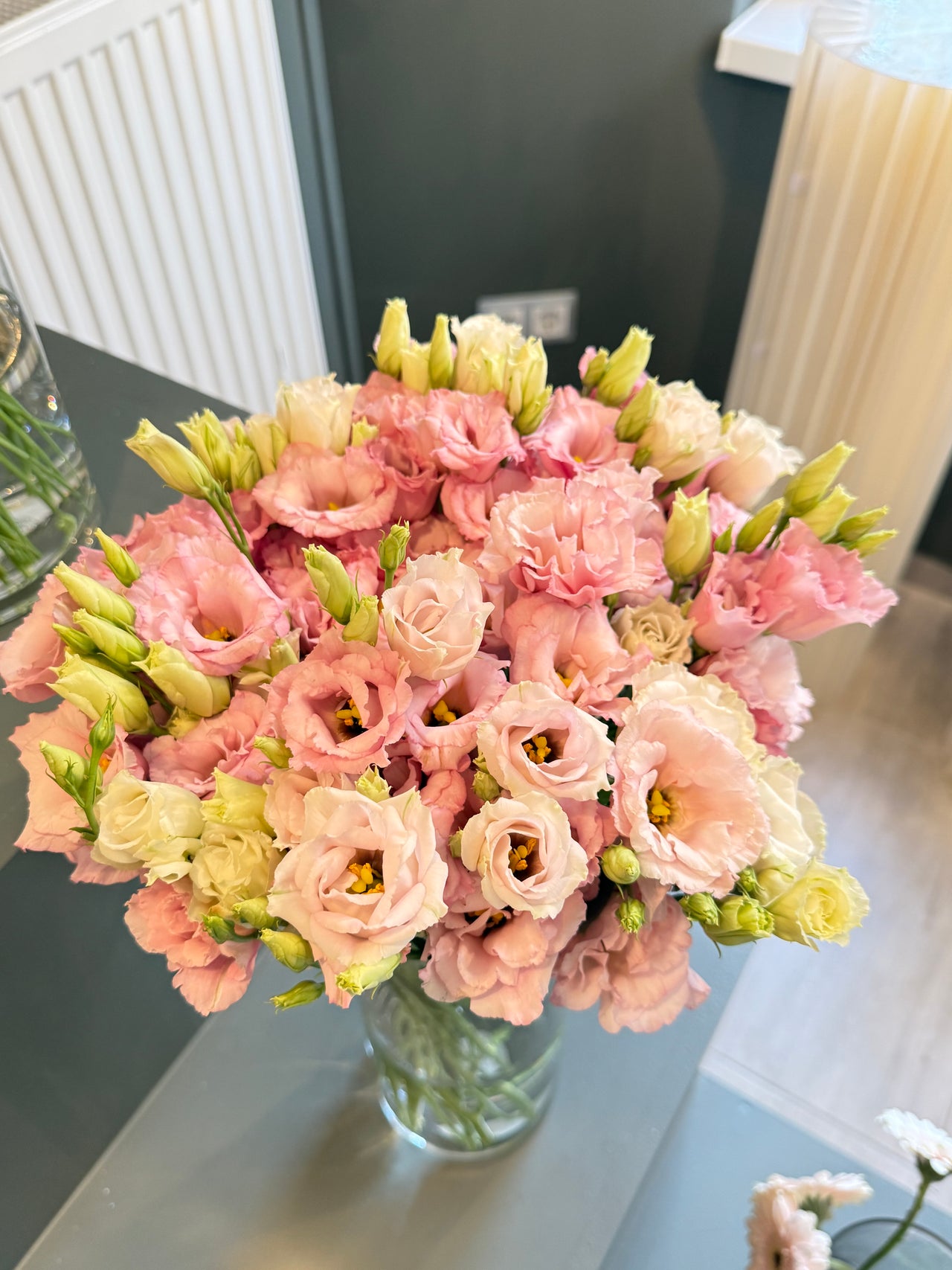 Pink  Lisianthus