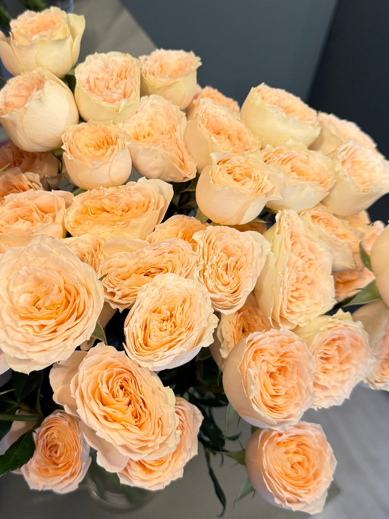 Spray rose