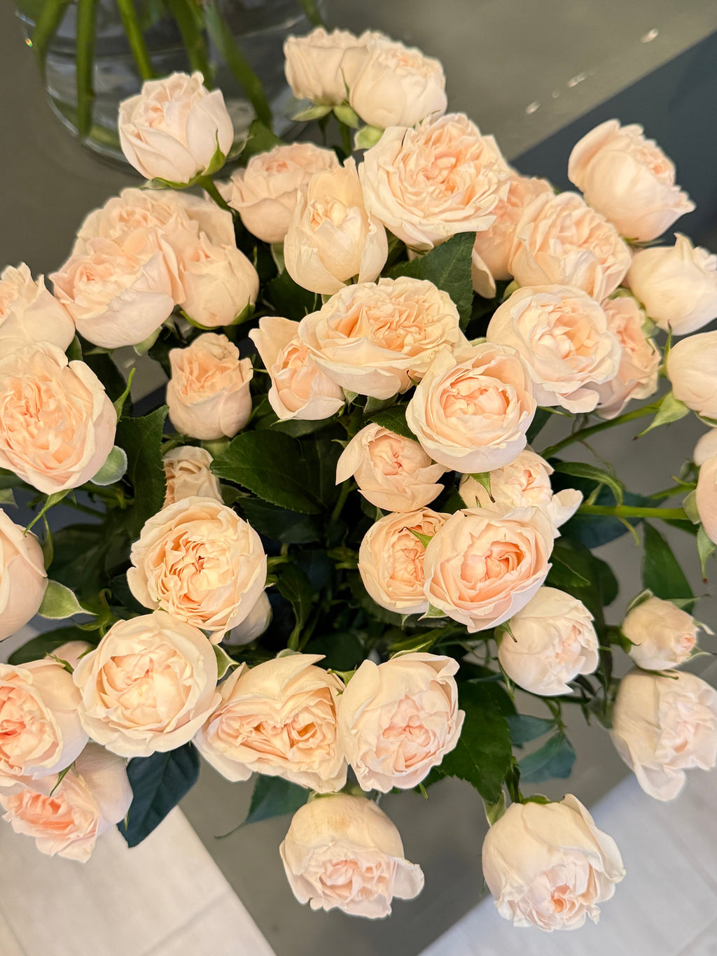 Spray rose