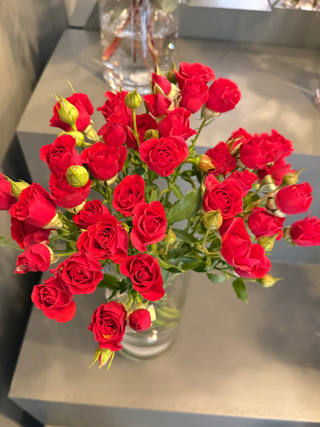 Red Spray Rose