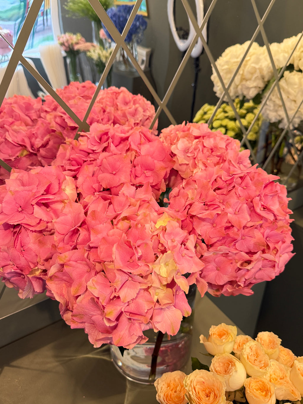 Dark pink Hydrangea