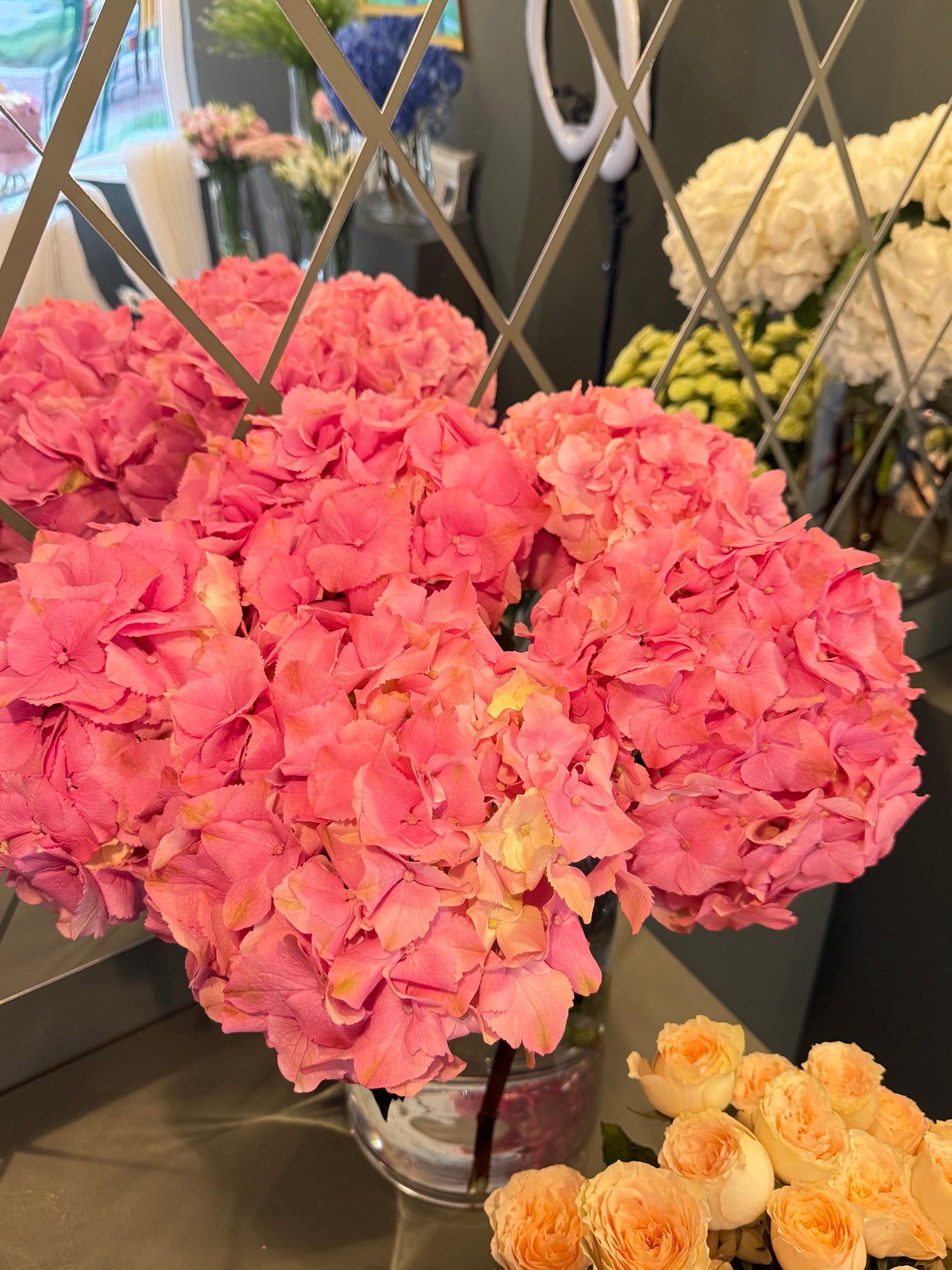 Dark pink Hydrangea