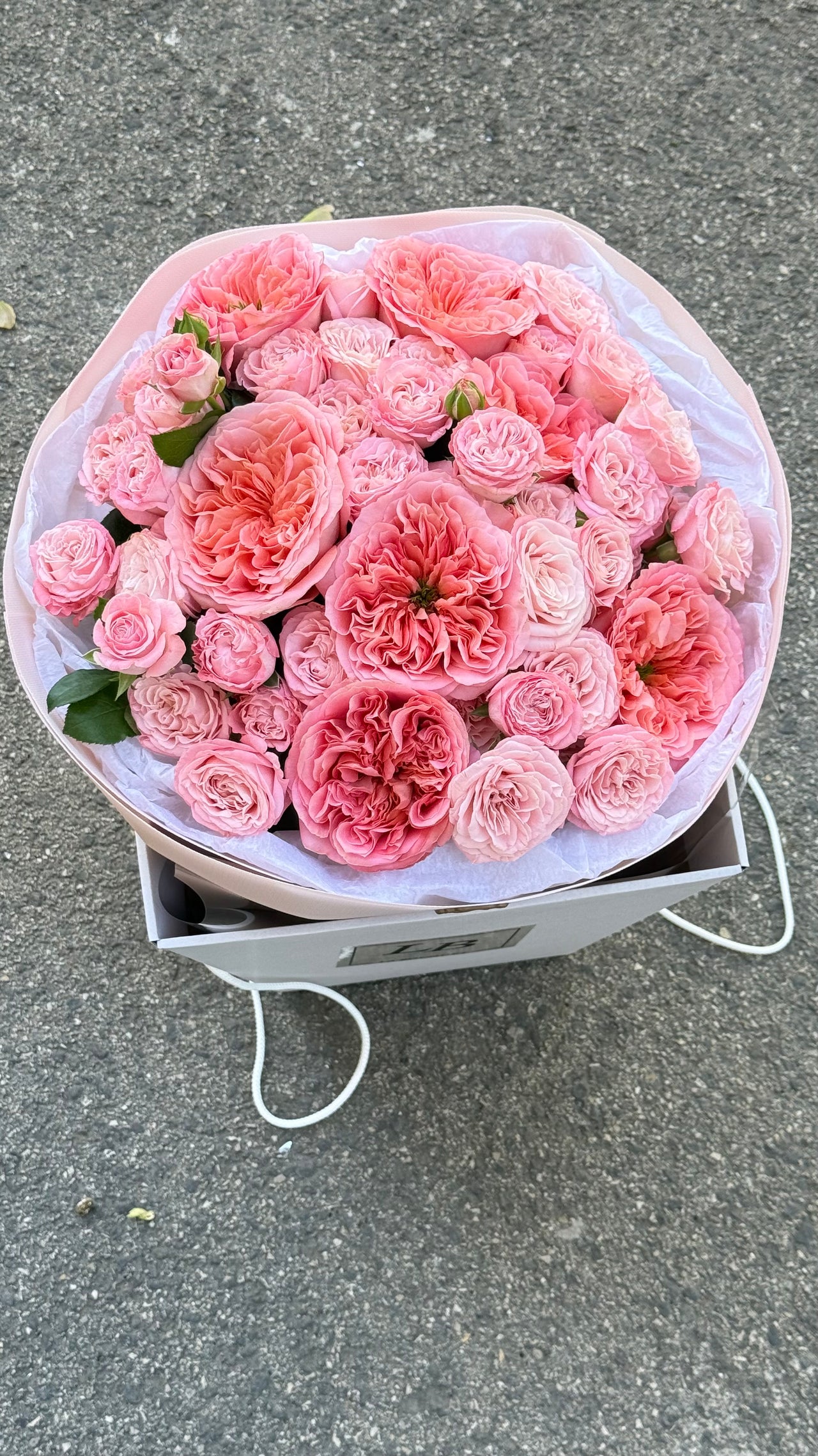 Pink dreams