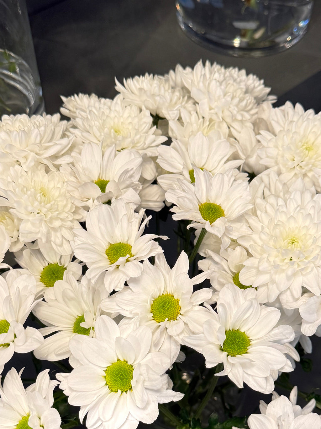 Chrysanthemum