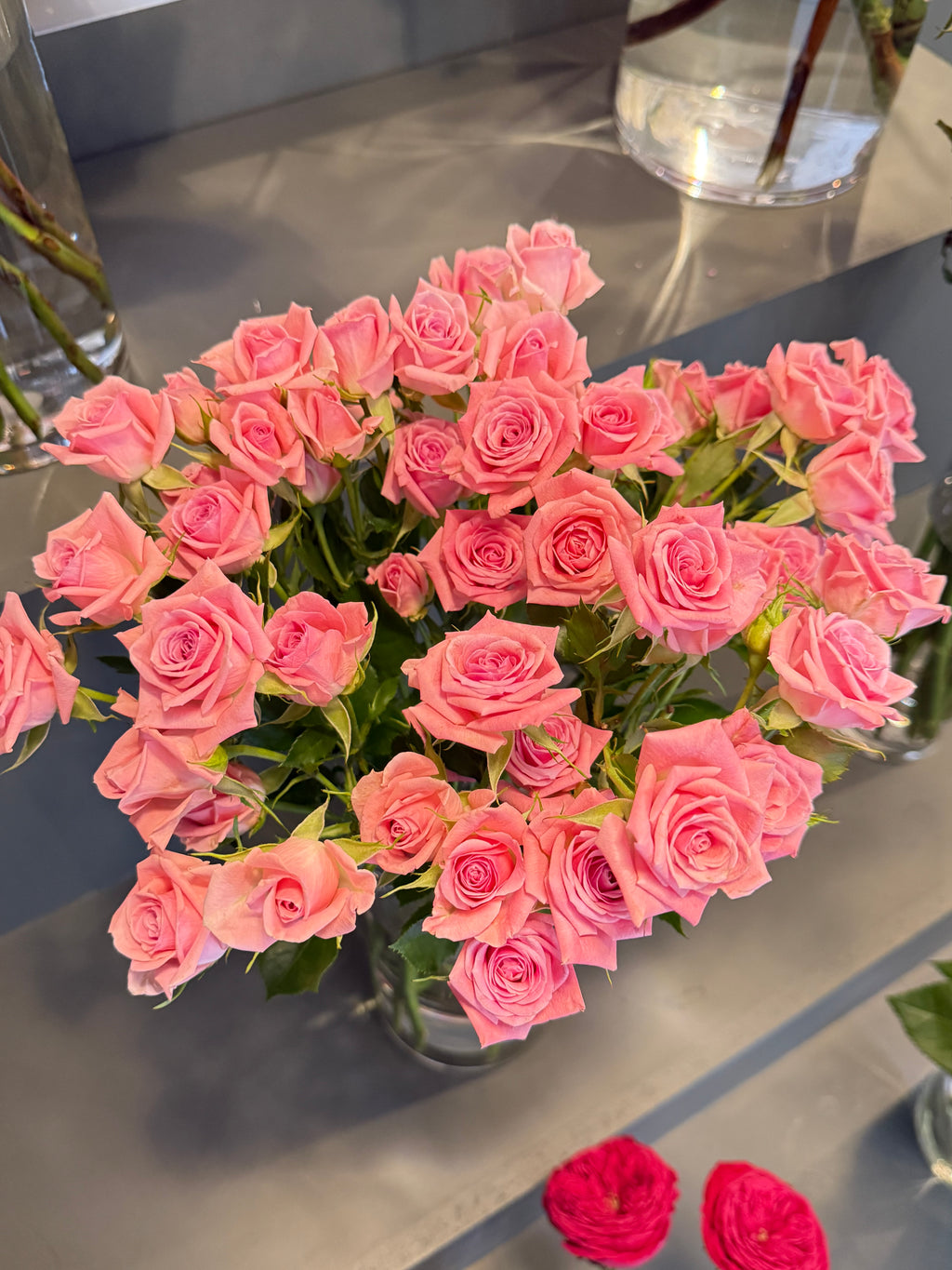 Pink Spray Rose