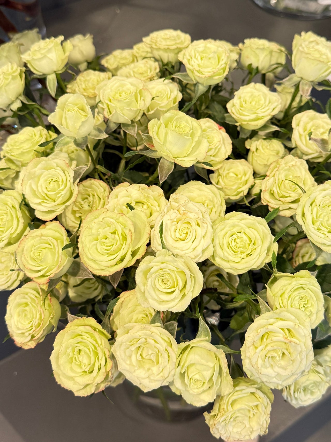 Green Spray Rose