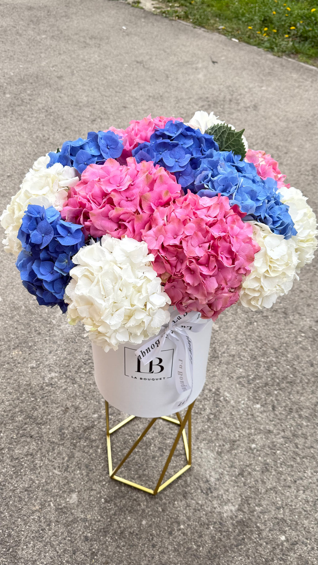 Hydrangeas Cloud