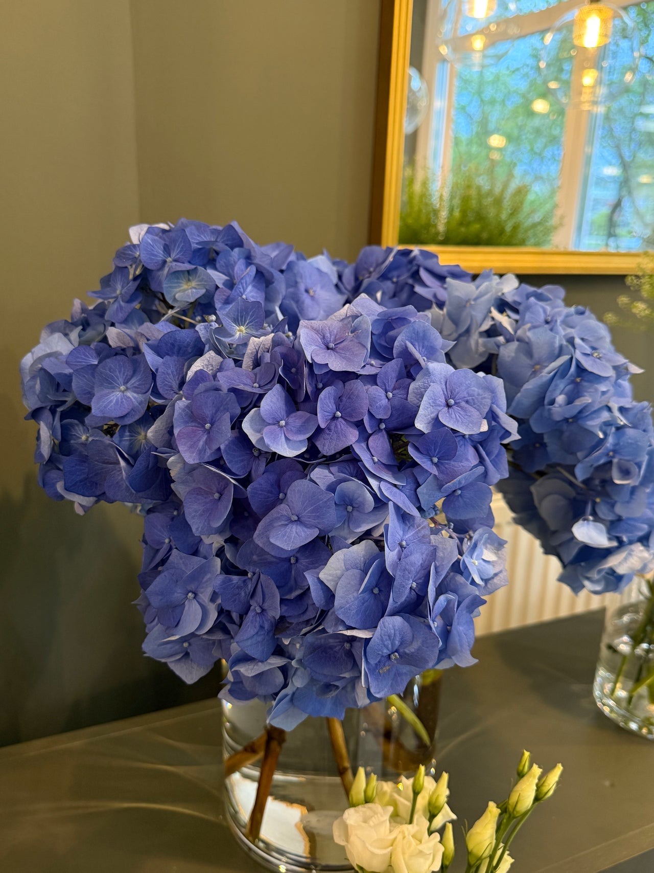 Dark Blue Hydrangea