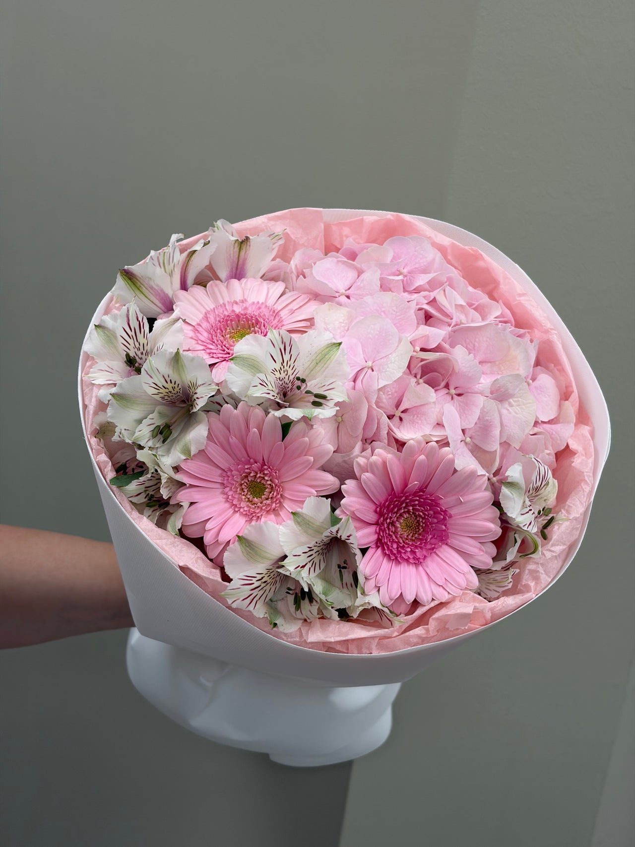 Pink blooms