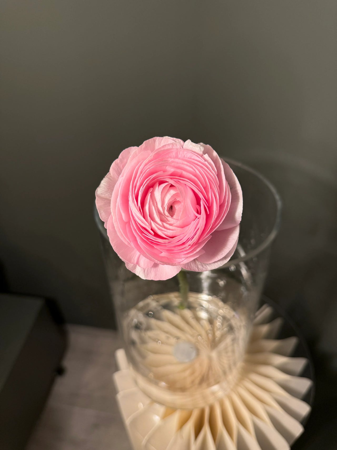 Ranunculus Light Pink