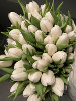 Tulips White